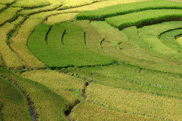 Yên Bái Province