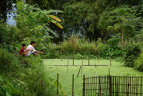 Fishing in Duckweed Pond