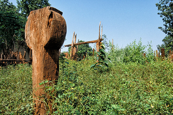 Totemic rites
