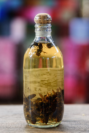 Bees