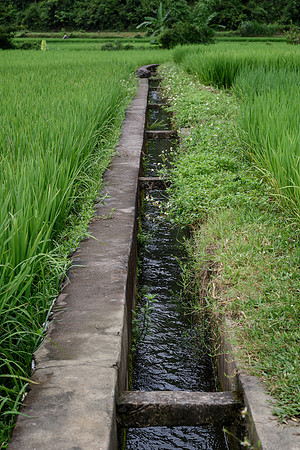 Irrigation