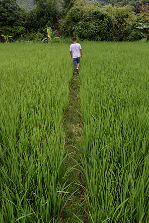 Treking through the fields