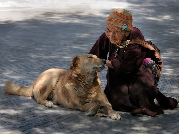 Elderly Nun