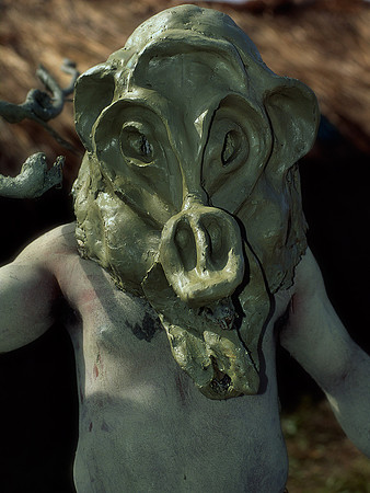 Asaro mudman