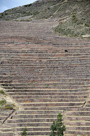 Stone Terraces