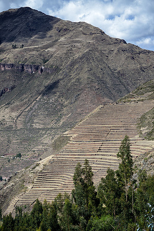 Inca Terraces