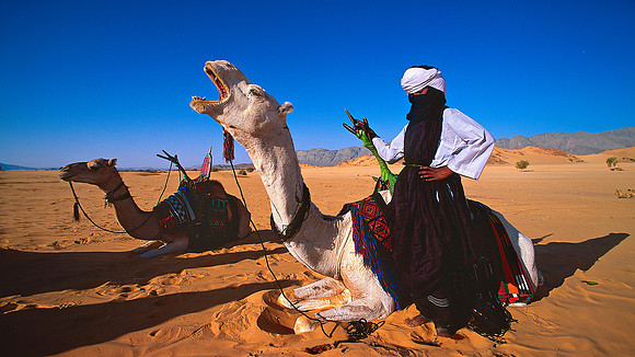 Tuareg and camel 16 x 9