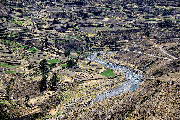 Colca Valley Terraces