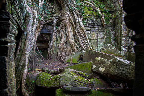 Gigantic Roots