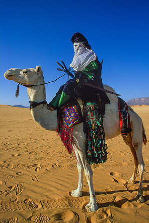 Tuareg on camel