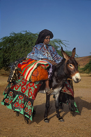 Tuareg Lady