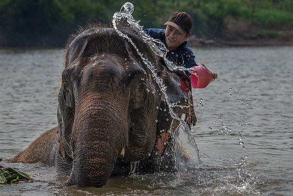 Bathing