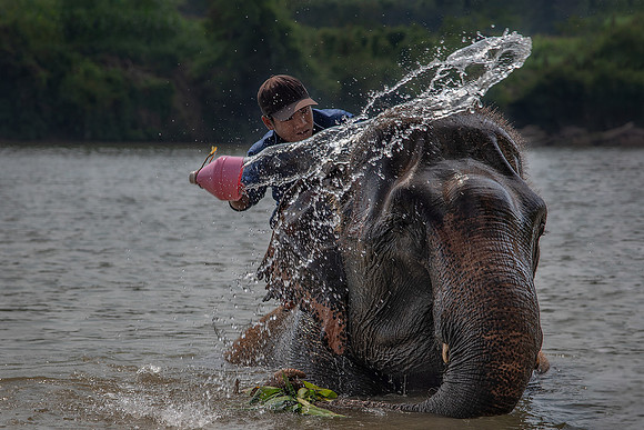 Bathing