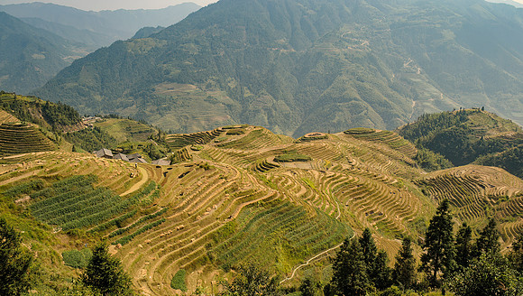 Longsheng rice terraces