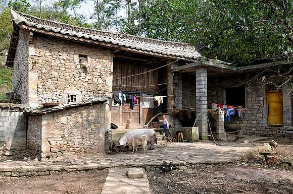 Village home