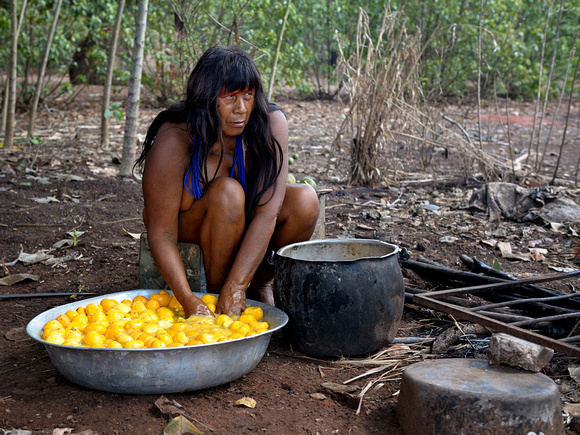 Pequi preparation