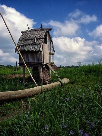 Outhouse