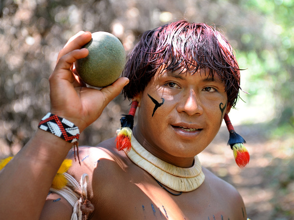Pequi fruit