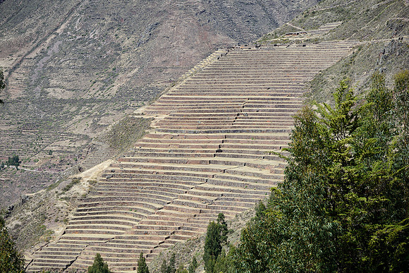 Stone Terraces