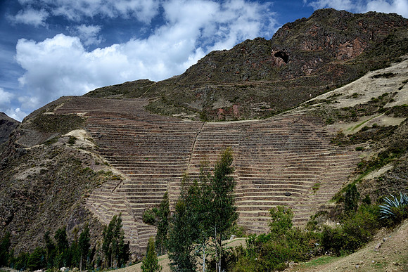 Agricultural terraces