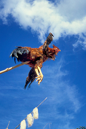 Front of log drum