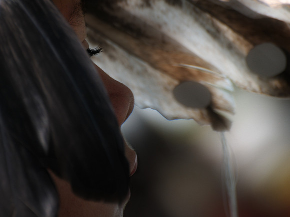 Under the feathers