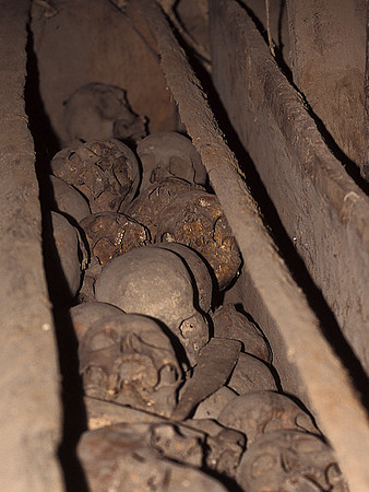 Skulls