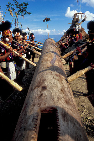 Log drumming