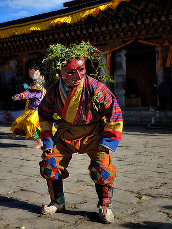 Festival Jester