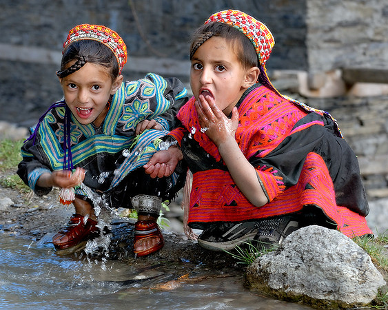 Drinking from a stream