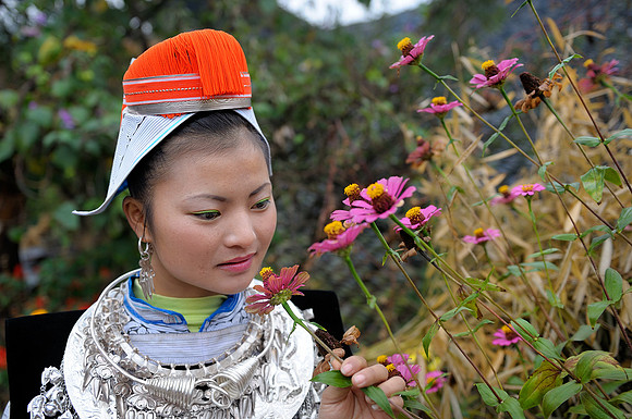 In the garden