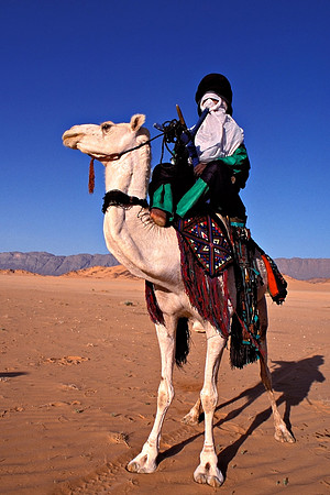 Tuareg on camel