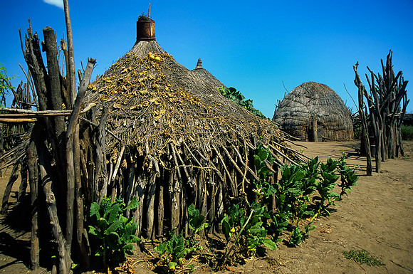 Village House