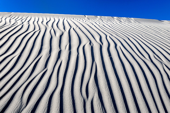 Sand Dune Nubra Valley