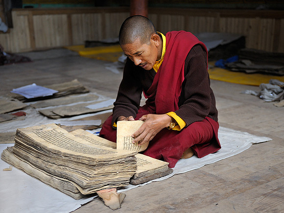 Reading scriptures Hemis Monastery
