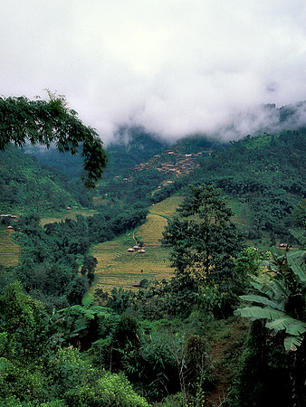 Mist in the valley