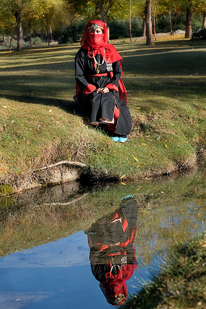 Veiled reflection