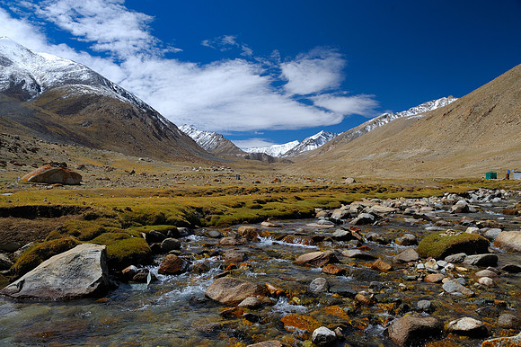 Mountain Stream