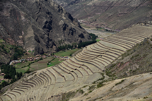 Terraced Landscape