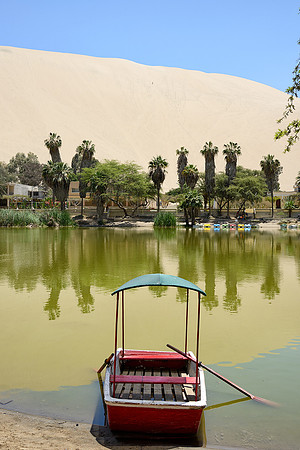 Oasis