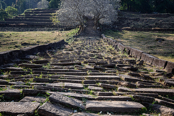Terraced Temple Complex